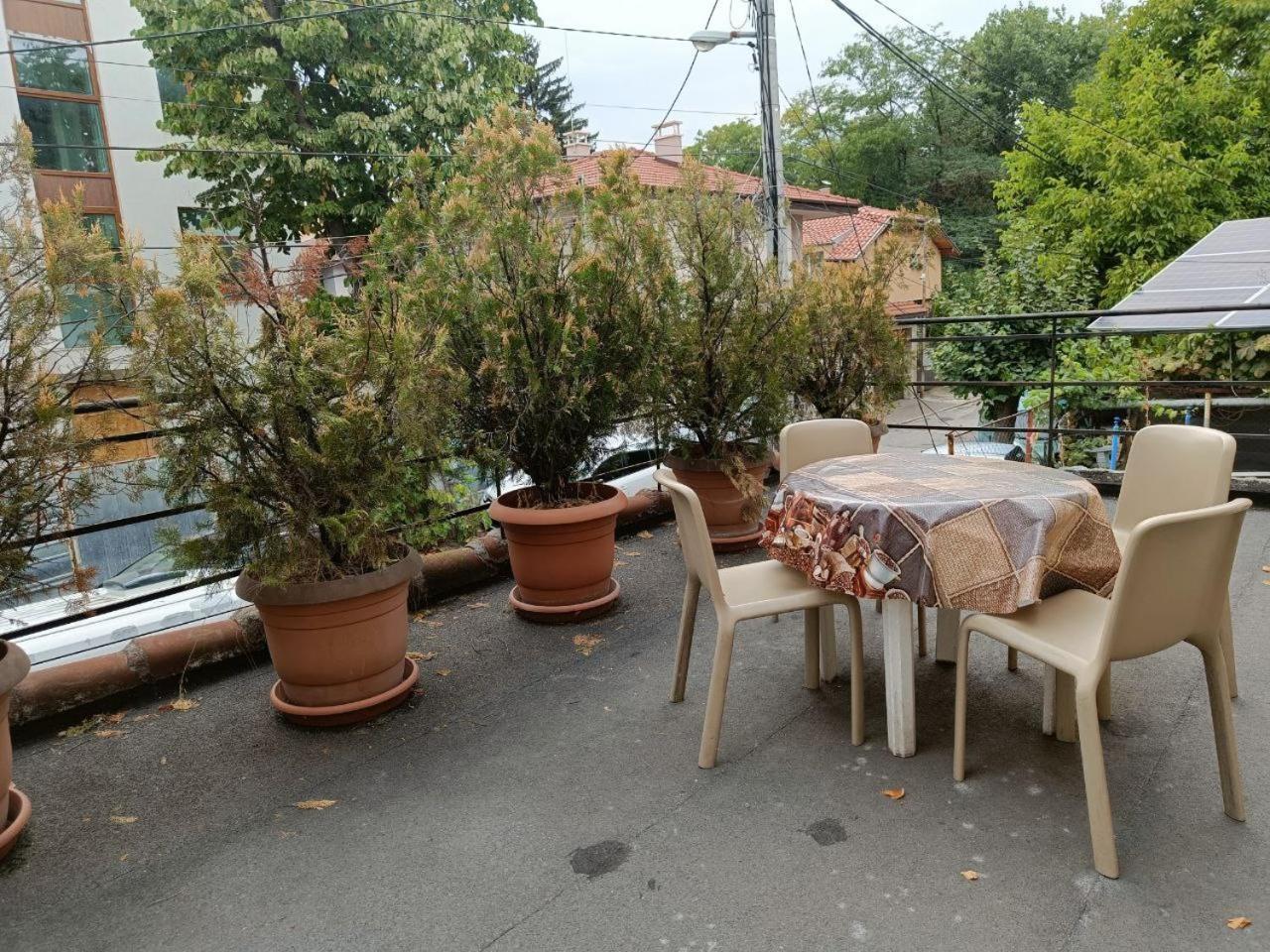 10 Coins Hostel & Tours Sofia Ngoại thất bức ảnh